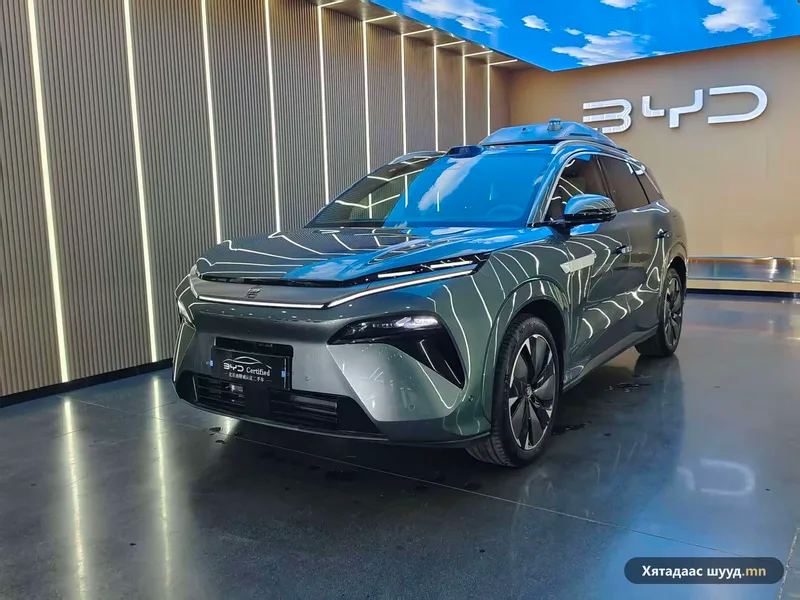BYD Tang L DM-i