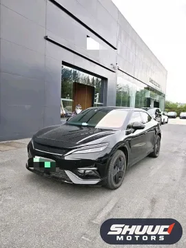 BYD Song L EV